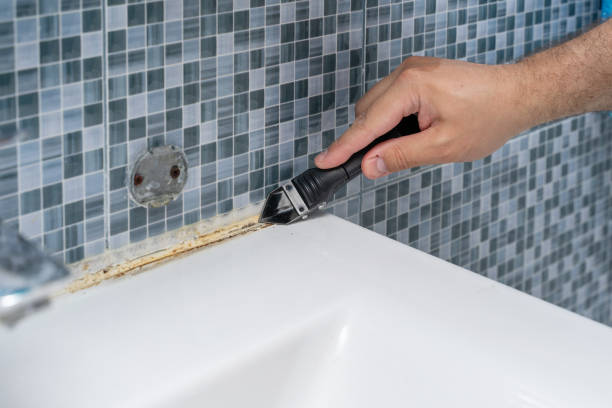 Mold Removal Process in Whitesboro, AL
